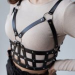 Scarlett's Chest Harness - Image 2